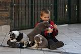 ENFANT ET CHIEN 319
